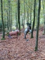 IMG_20251012_122641371